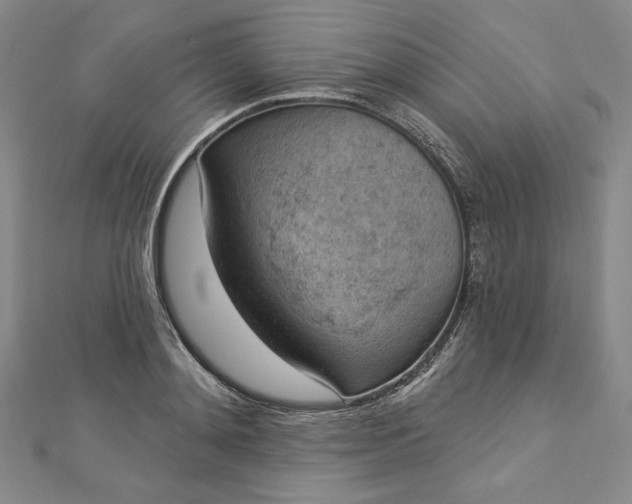 X0000112780892200909031627