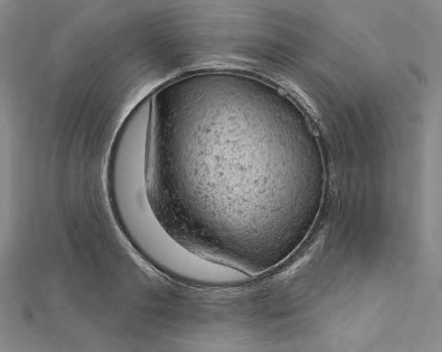 X0000112780893200909031627