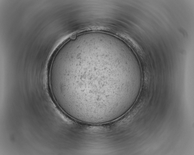 X0000112780894200909031627