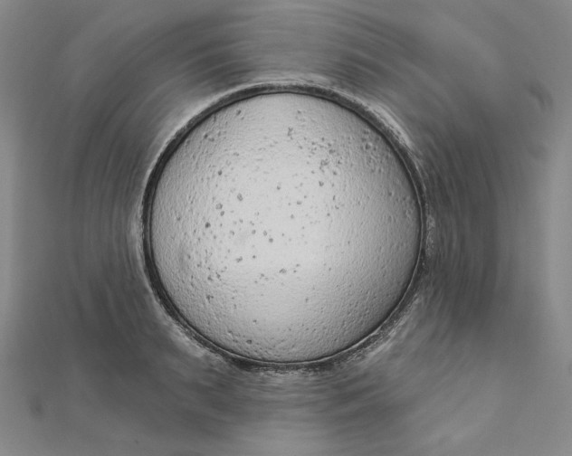 X0000112780895200909031627