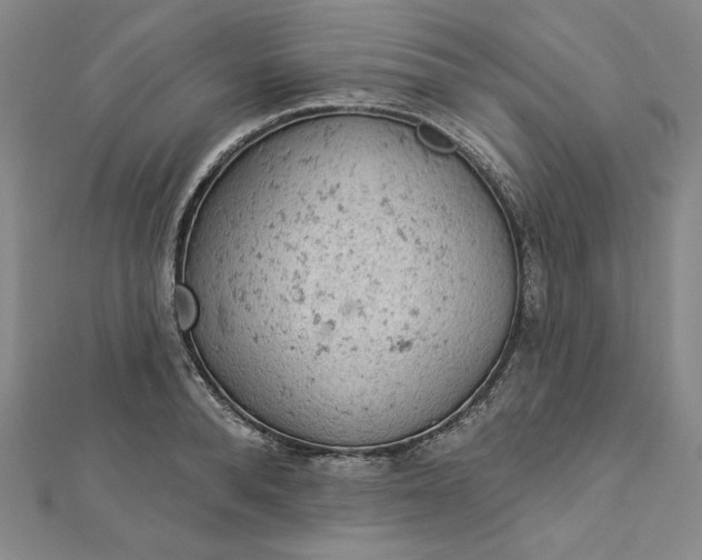 X0000112780896200909031627