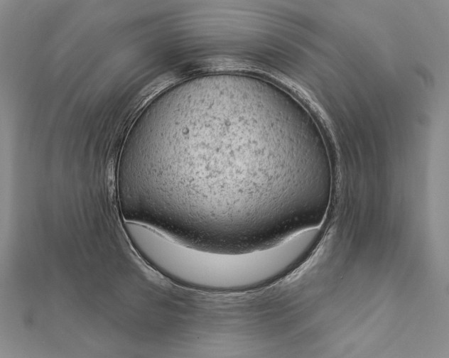 X0000112780897200909031627