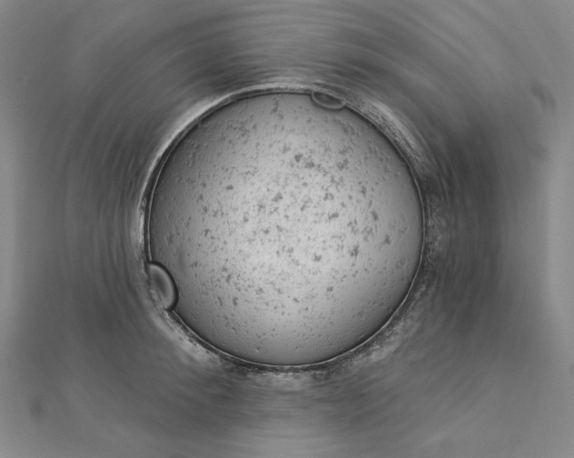 X0000112780900200909031627