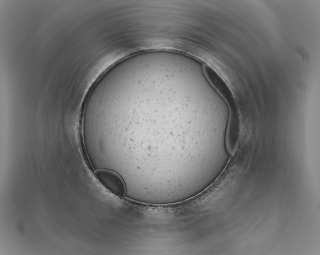 X0000112780901200909031626