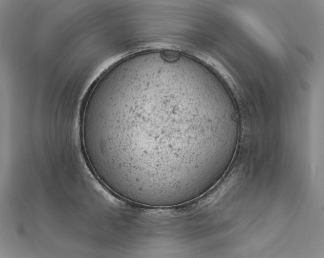 X0000112780902200909031626