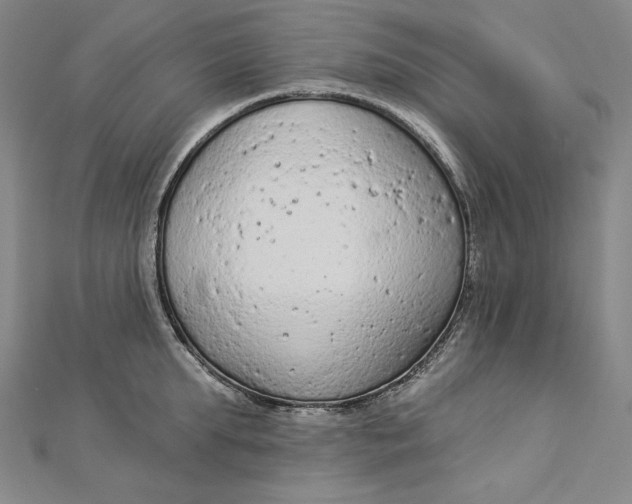 X0000112780903200909031626