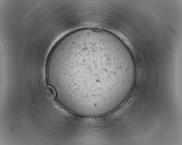 X0000112780904200909031626