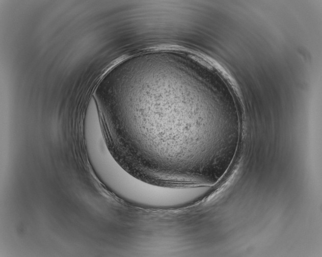 X0000112780905200909031626