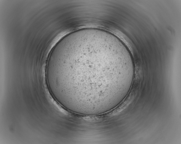 X0000112780906200909031626