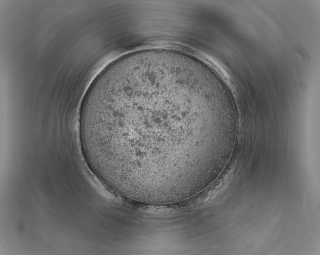 X0000112780907200909031626