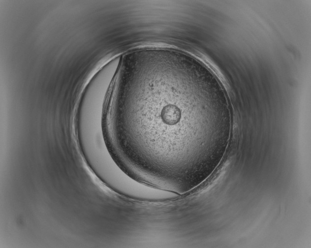 X0000112780909200909031626