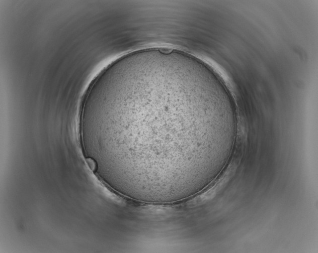 X0000112780910200909031626