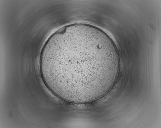 X0000112780911200909031626