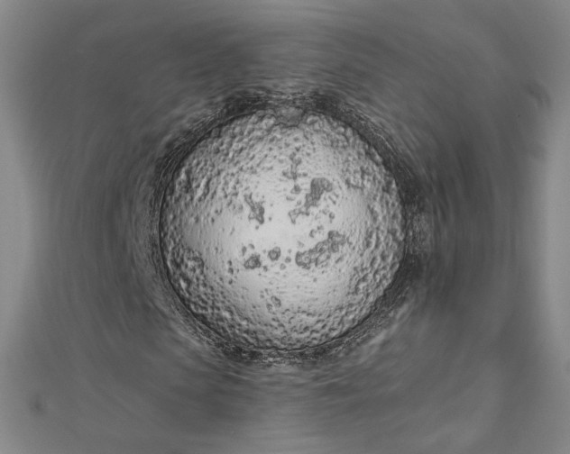 X0000112780913200909031626