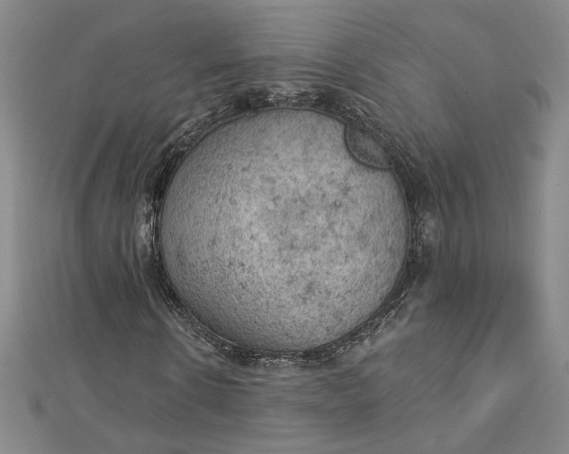 X0000112780914200909031626