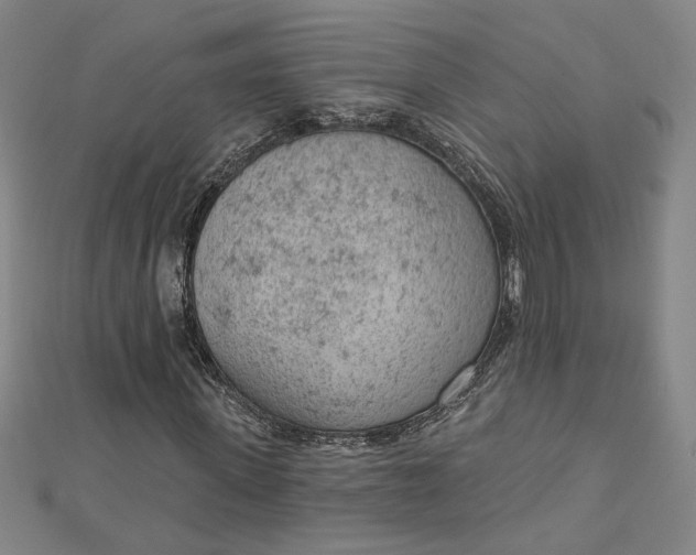 X0000112780915200909031626