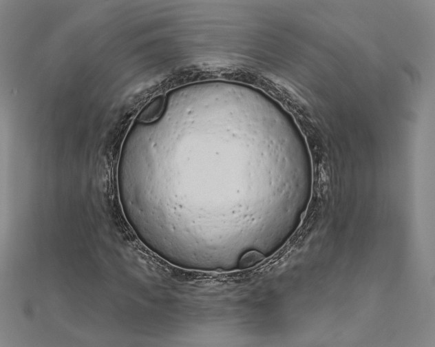 X0000112780917200909031626