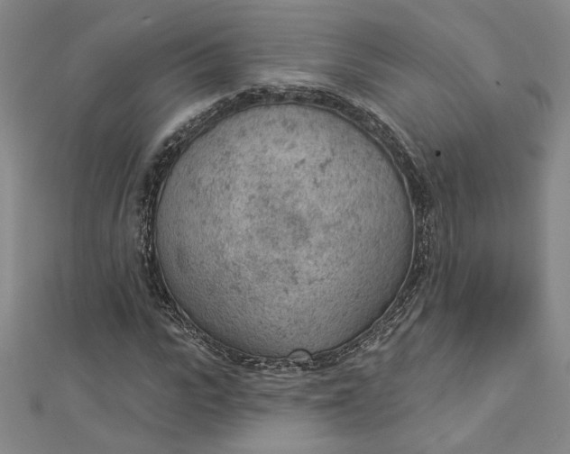 X0000112780919200909031626