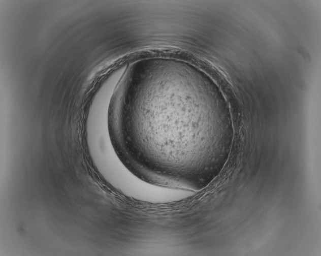 X0000112780920200909031626