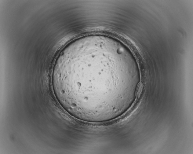 X0000112780921200909031626