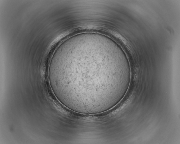 X0000112780922200909031626