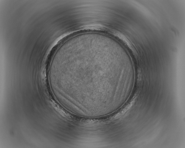 X0000112780923200909031626