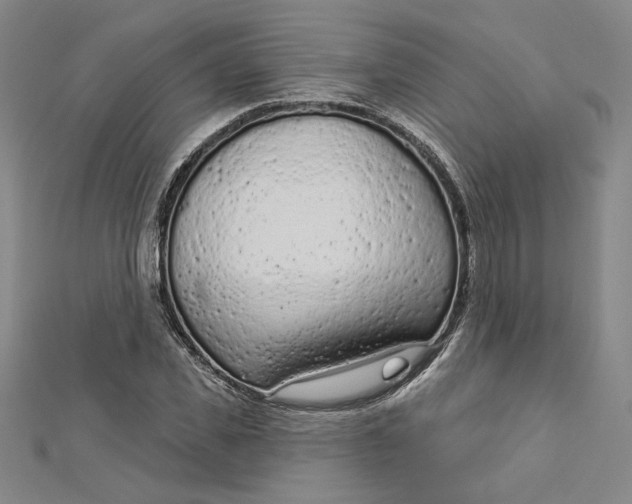 X0000112780925200909031626