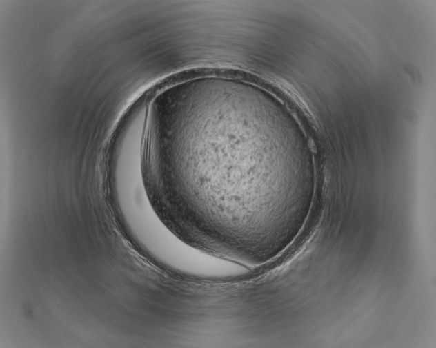 X0000112780926200909031626