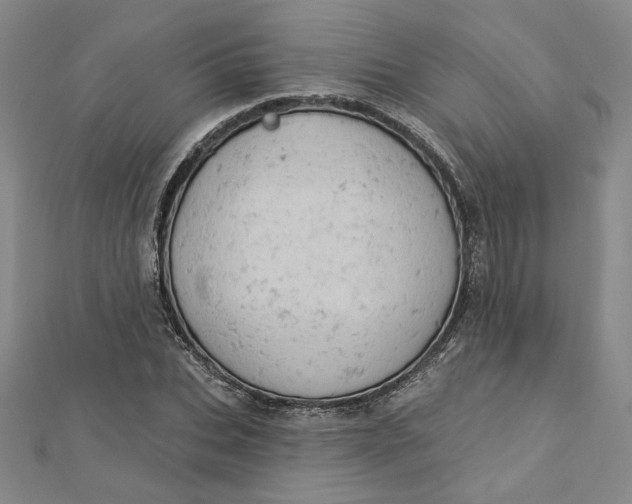 X0000112780927200909031626