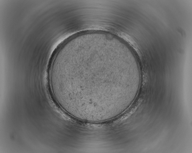 X0000112780928200909031626