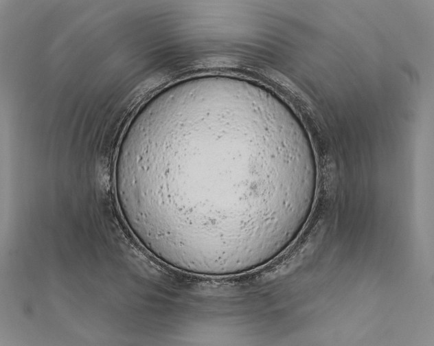 X0000112780929200909031626