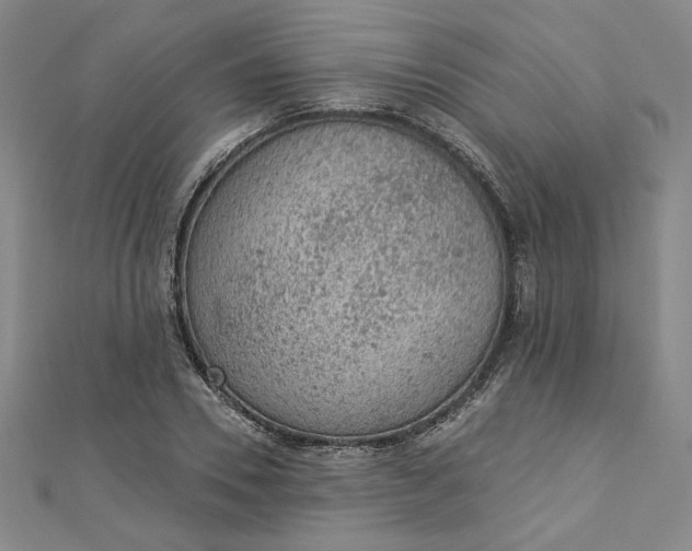 X0000112780930200909031626