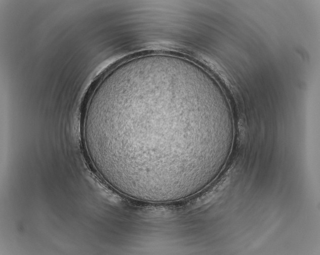 X0000112780931200909031626