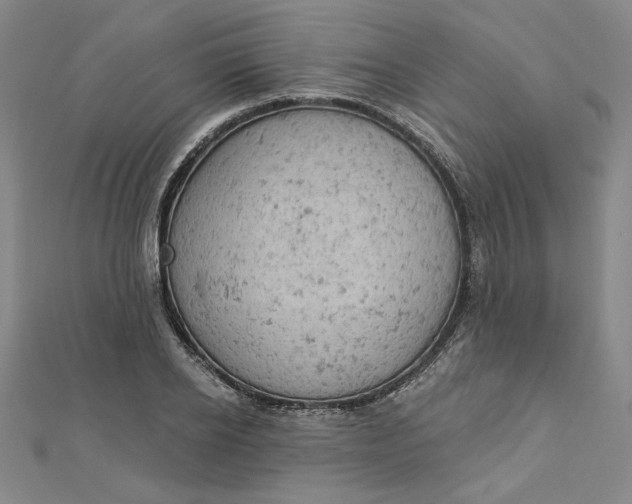 X0000112780934200909031626