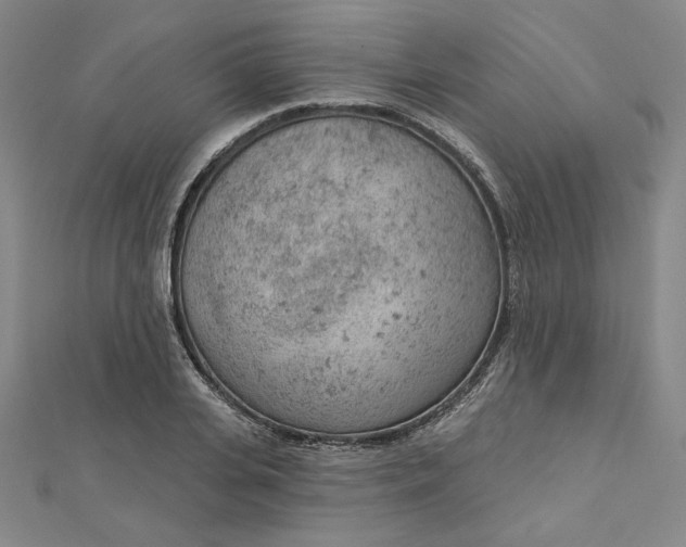 X0000112780935200909031626