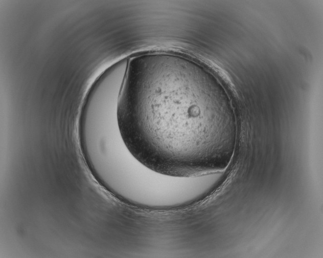 X0000112780936200909031626