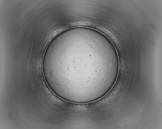 X0000112780937200909031626