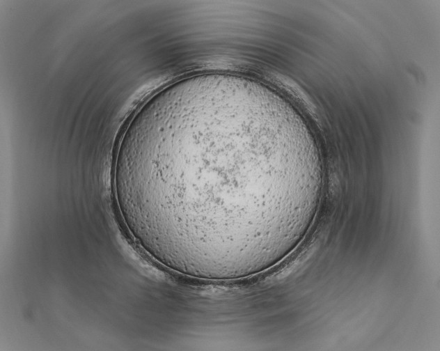 X0000112780938200909031626