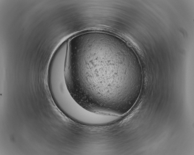 X0000112780940200909031626