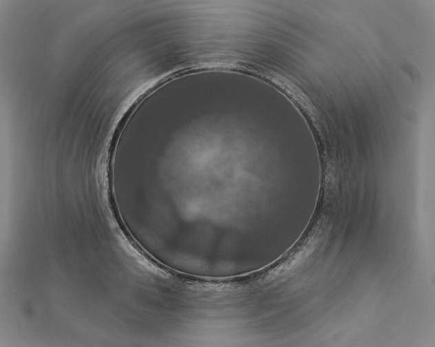 X0000112780941200909031626