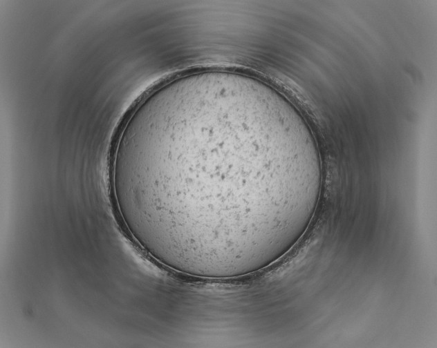 X0000112780942200909031626