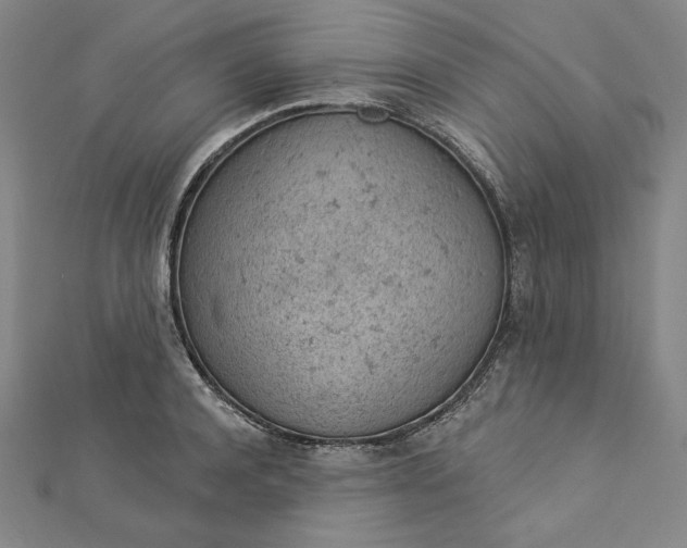 X0000112780944200909031626