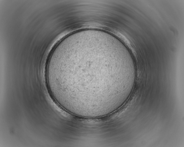 X0000112780947200909031626