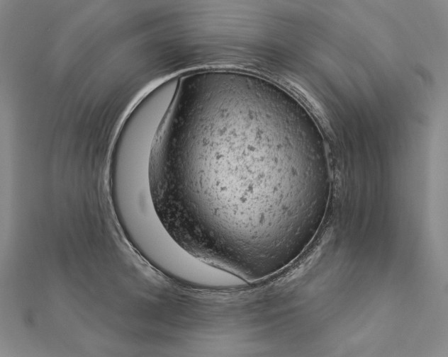 X0000112780948200909031626