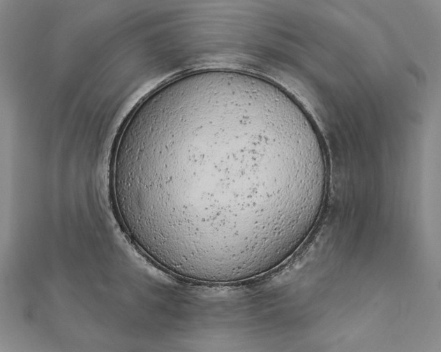 X0000112780949200909031626