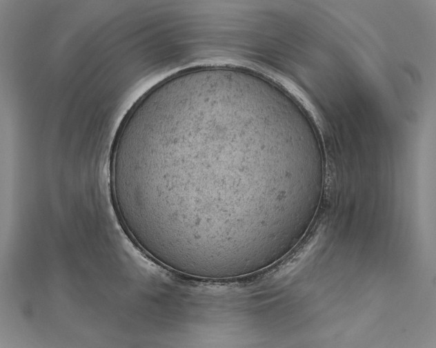 X0000112780951200909031626