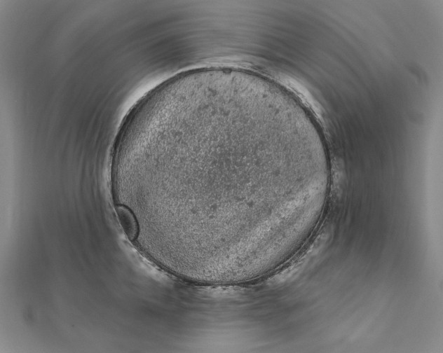 X0000112780952200909031626