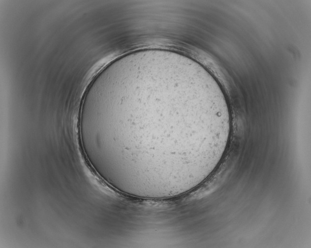 X0000112780954200909031626