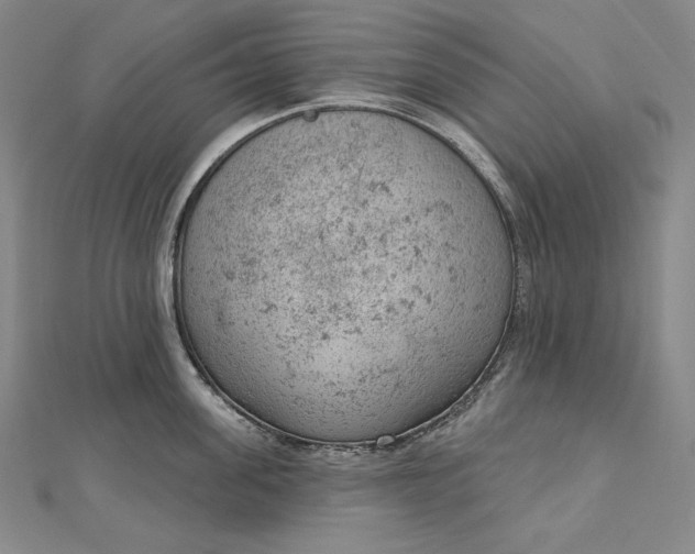 X0000112780955200909031626