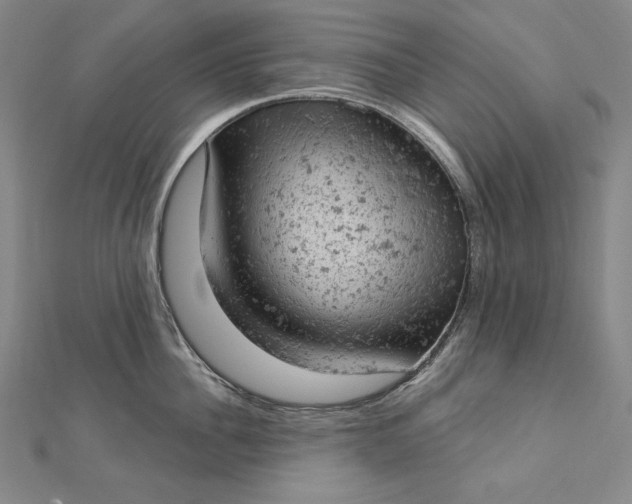 X0000112780956200909031626